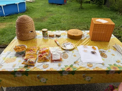 Foto des Albums: Bei den Bienen
