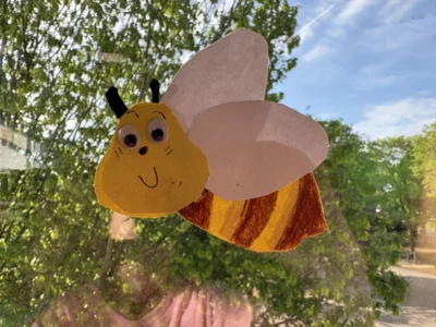 Foto des Albums: Bienenkunde im Klassenraum