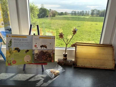 Foto des Albums: Bienenkunde im Klassenraum