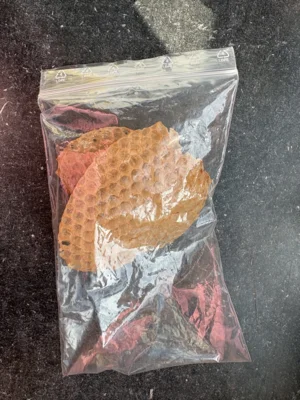 Foto des Albums: Bienenkunde im Klassenraum
