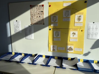 Foto des Albums: Bienenkunde im Klassenraum