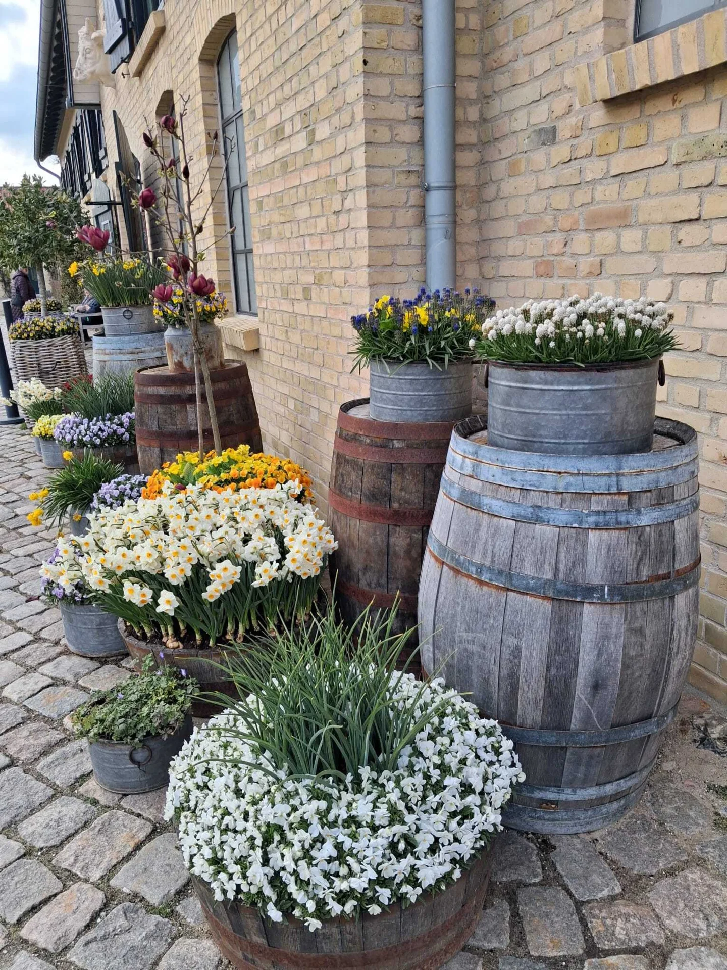 Bild der Galerie
