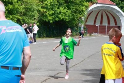 Crosslauf (44) 