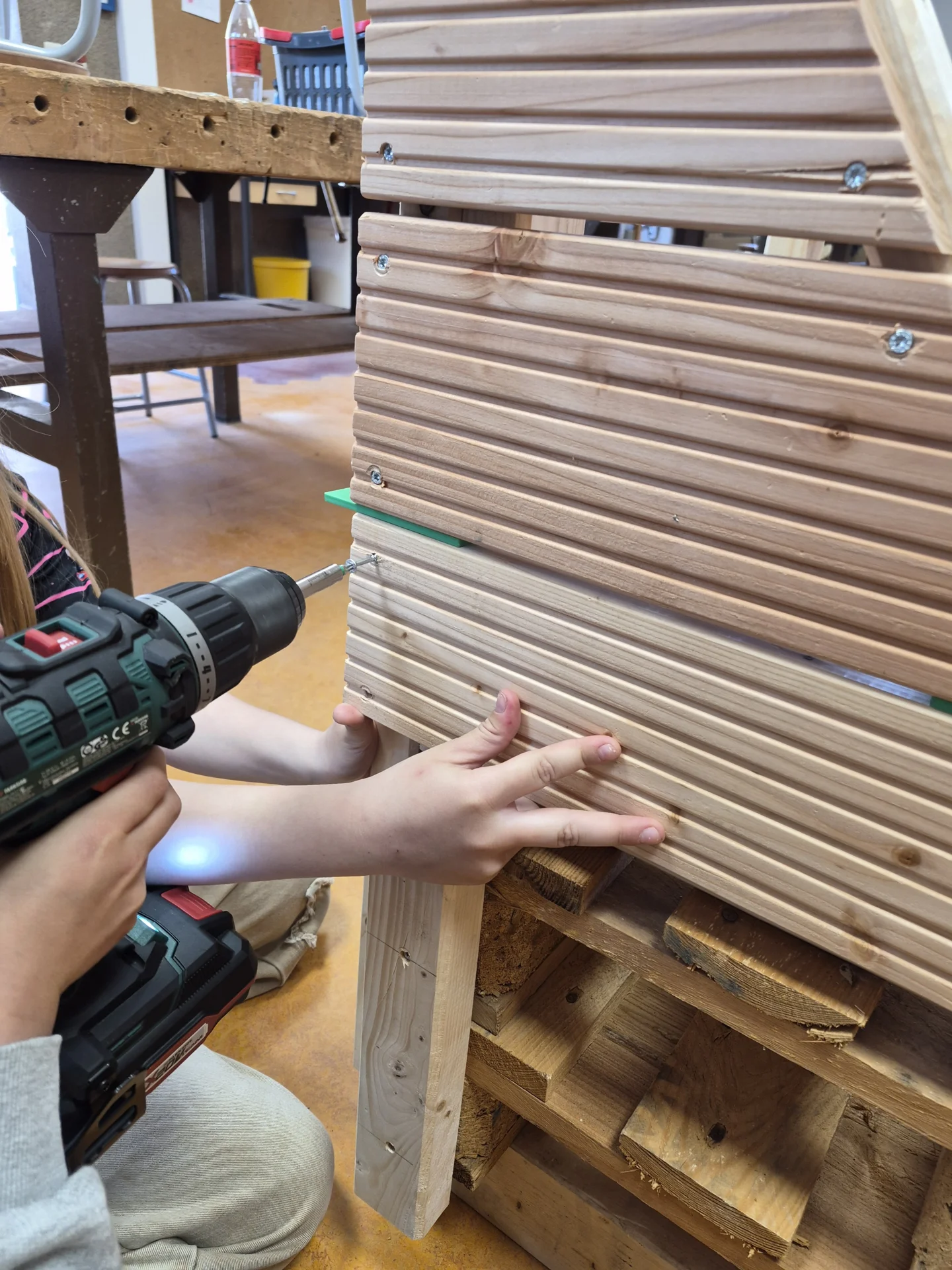 Bild der Galerie