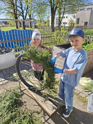 Foto des Albums: Maibaumfest
