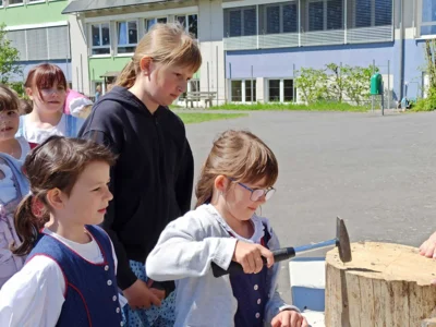 Foto des Albums: Maibaumfest