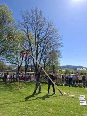 Foto des Albums: Maibaumfest