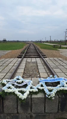 Foto des Albums: Krakau 2026