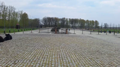 Foto des Albums: Krakau 2026
