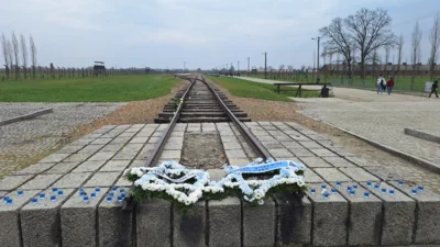 Foto des Albums: Krakau 2026