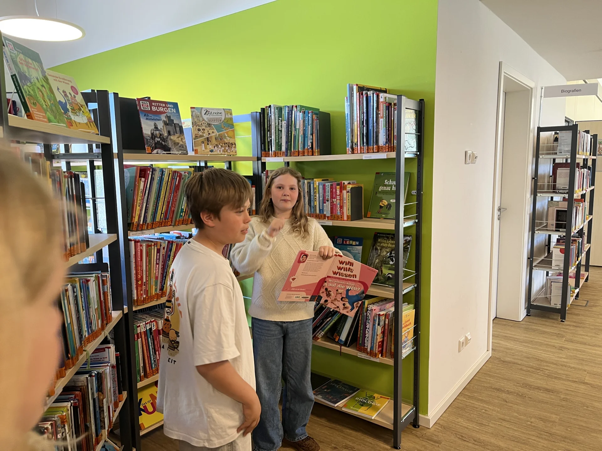 Bild der Galerie