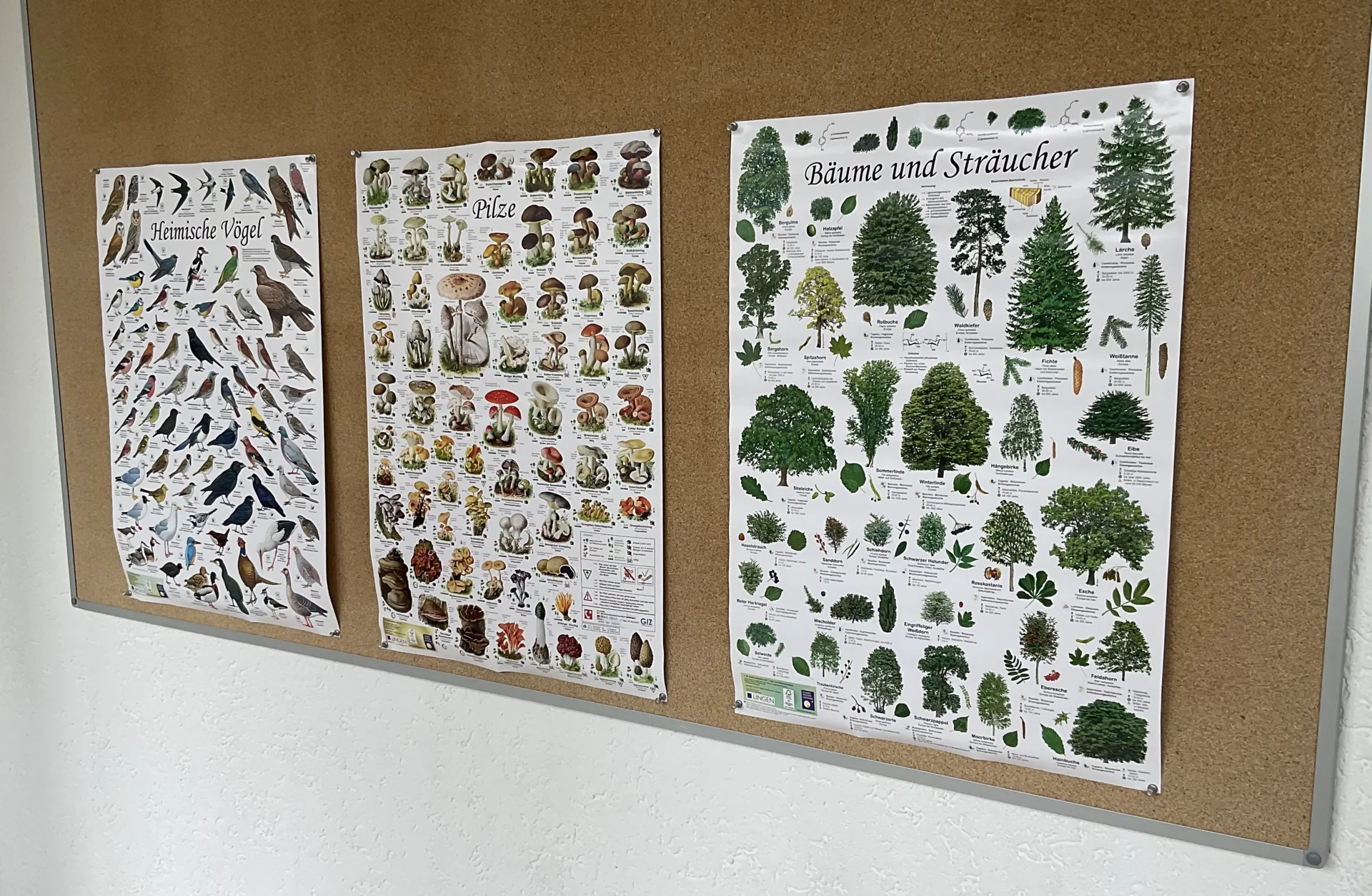 Bild der Galerie