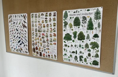 Foto des Albums: Waldprojekt