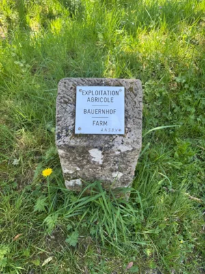 Tafeln erinnern an die Geb&auml;ude im zerst&ouml;rten Dorf Fleury  (Bild vergr&ouml;&szlig;ern)