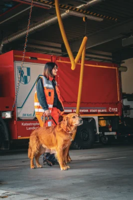 Foto des Albums: Rettungshundestaffel bei der Kinderfeuerwehr 2026