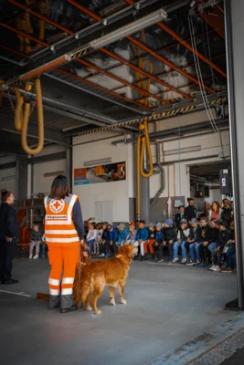 Foto des Albums: Rettungshundestaffel bei der Kinderfeuerwehr 2026