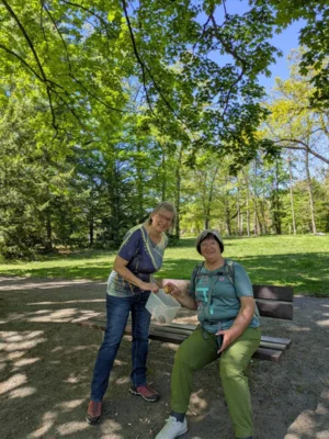 Foto des Albums: Bodo_Pruefungswanderung