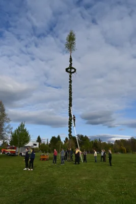 Foto des Albums: 30.04.26 Maibaum aufstellen und Tanz in den Mai