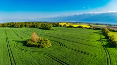 Foto des Albums: Rapsblüte in der Gemeinde Ruhner Berge
