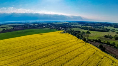 Foto des Albums: Rapsblüte in der Gemeinde Ruhner Berge