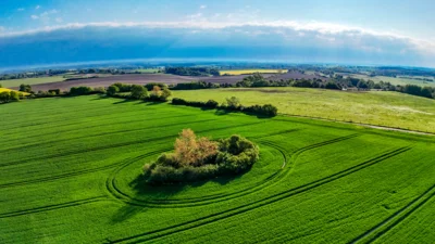 Foto des Albums: Rapsblüte in der Gemeinde Ruhner Berge