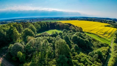 Foto des Albums: Rapsblüte in der Gemeinde Ruhner Berge