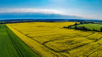 Foto des Albums: Rapsblüte in der Gemeinde Ruhner Berge