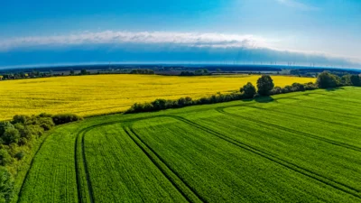 Foto des Albums: Rapsblüte in der Gemeinde Ruhner Berge