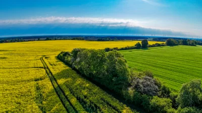 Foto des Albums: Rapsblüte in der Gemeinde Ruhner Berge