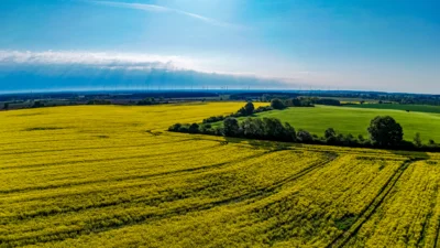 Foto des Albums: Rapsblüte in der Gemeinde Ruhner Berge