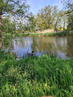 Foto des Albums: 1.Hegefischen Jugend