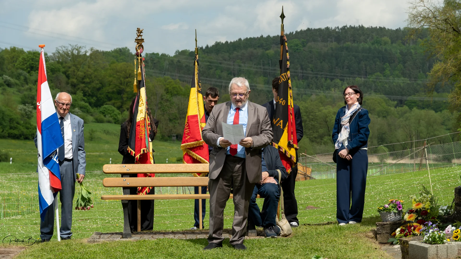 Bild der Galerie