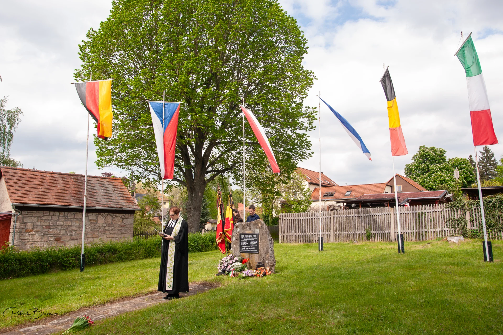 Bild der Galerie
