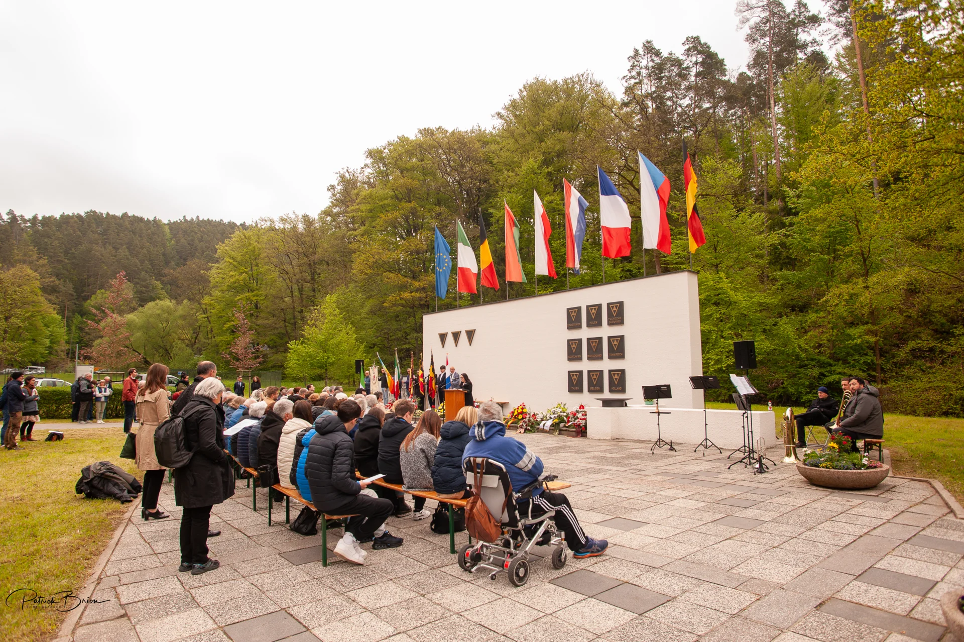Bild der Galerie