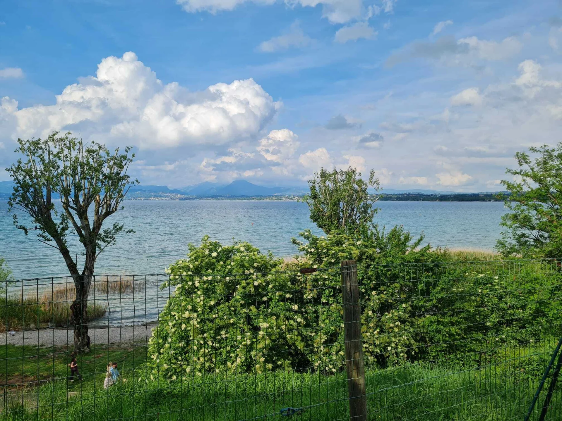 Bild der Galerie