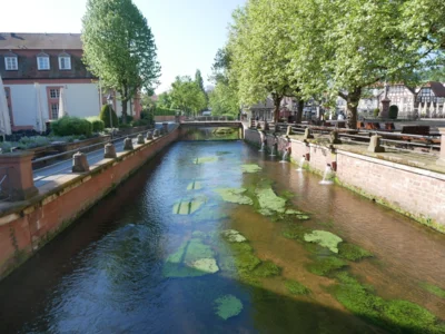Foto des Albums: Bilder vom Deutschen Drechslertag in Michelstadt 2026
