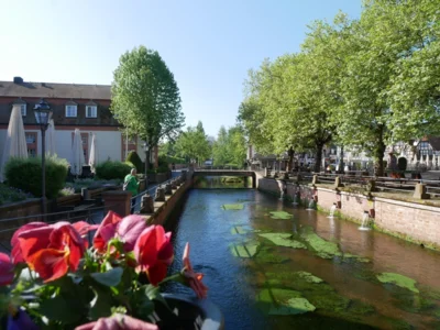 Foto des Albums: Bilder vom Deutschen Drechslertag in Michelstadt 2026