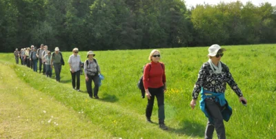 Foto des Albums: Auf dem Marienweg von Dechsendorf nach Heroldsbach gepilgert