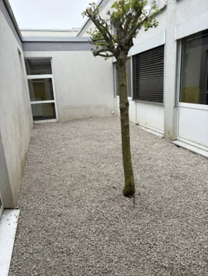 Foto des Albums: Projektwoche Schulhof 7er