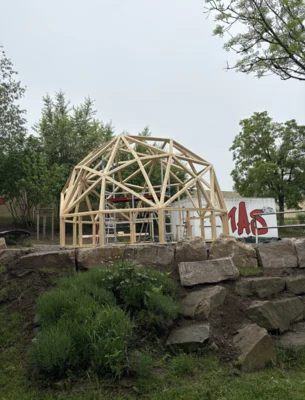 Foto des Albums: Projektwoche Schulhof 7er