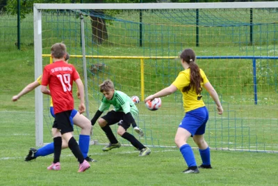 Foto des Albums: 9. Mai Punktspiel Hirschstein gegen Sörnewitz 2:8