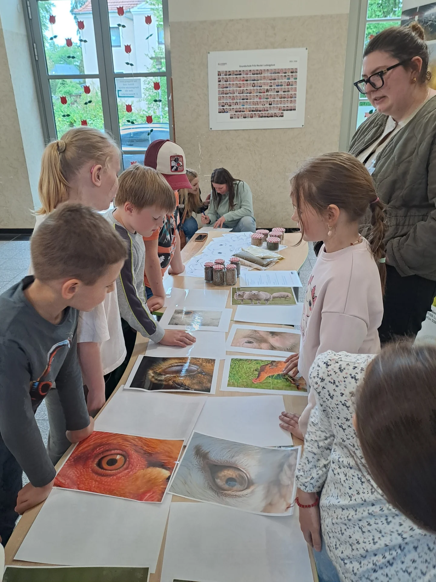Bild: Augenmemory
