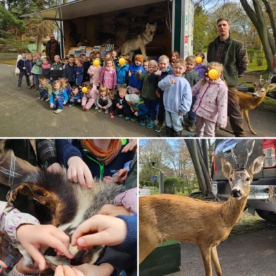 Foto des Albums: Besuch der Waldschule