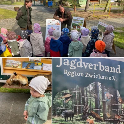 Foto des Albums: Besuch der Waldschule
