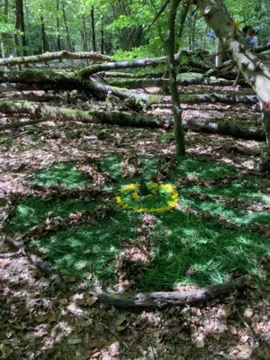 Foto des Albums: LAND ART