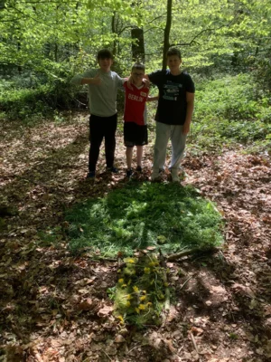 Foto des Albums: LAND ART