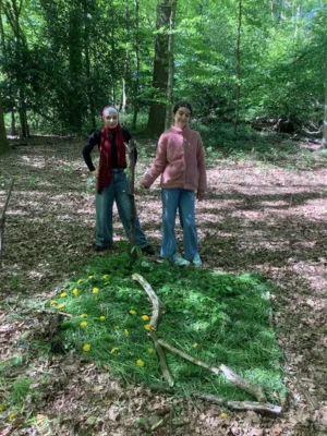 Foto des Albums: LAND ART