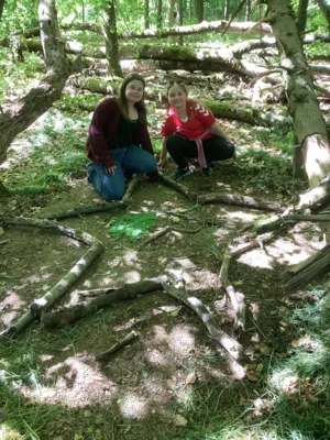 Foto des Albums: LAND ART