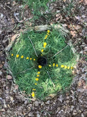 Foto des Albums: LAND ART
