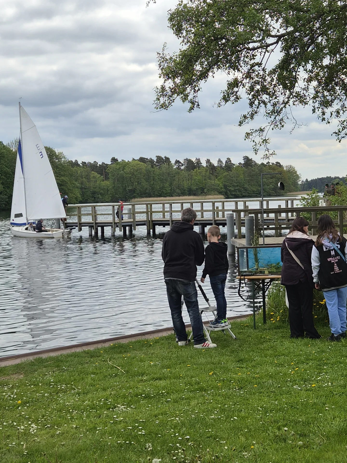 Bild der Galerie